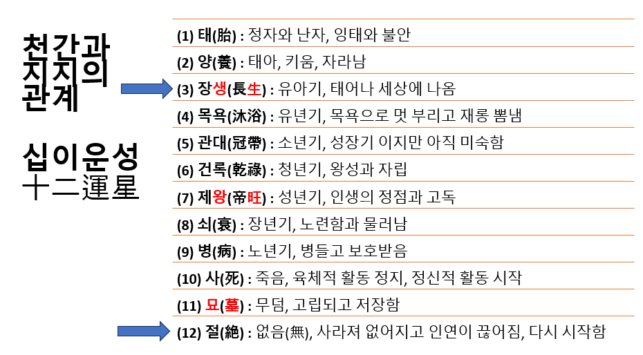 9. 12운성(十二運星)과 포태법(胞胎法)